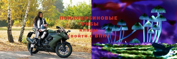 прущие грибы Алексеевка