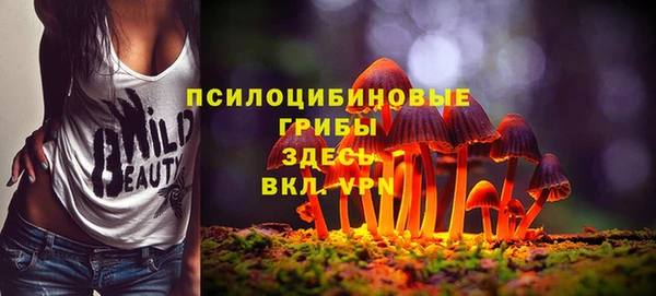 бошки Армянск