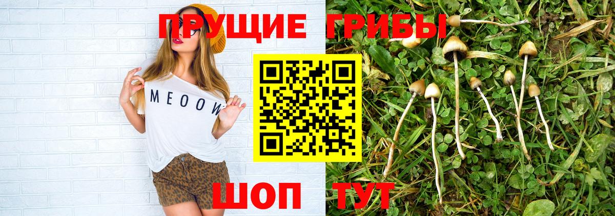 Когалым  Галлюциногенные грибы Psilocybine cubensis  наркота  Галлюциногенные грибы GOLDEN TEACHER  Вход с VPN 