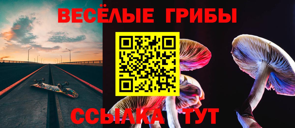 Псилоцибиновые грибы Psilocybe Когалым